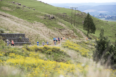 Runners slowly running up one of the many hills in the midlands, but the view at the top is worth it! - (c) Andrew Mc Fadden / BOOGS Photography 