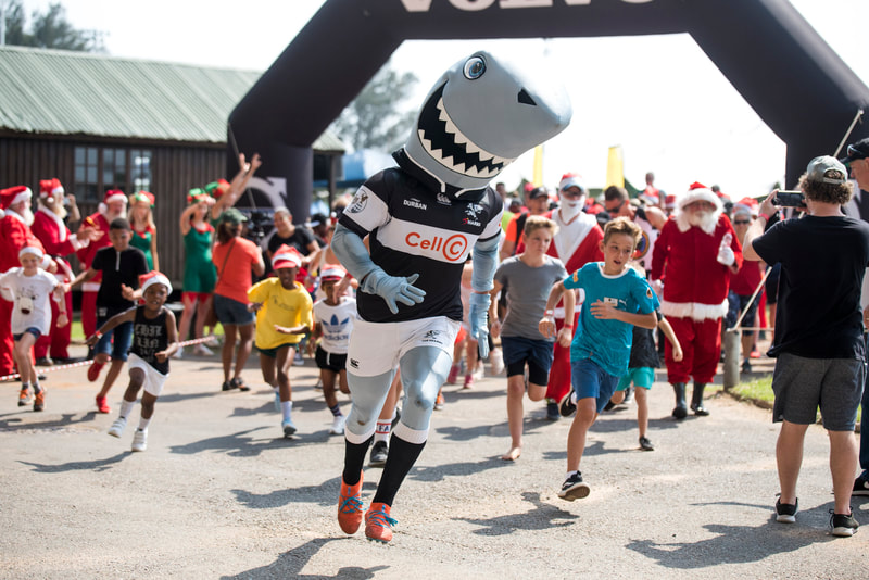 image from the Sharks Santa Fun Run. Image: BOOGS Photography / Andrew Mc Fadden